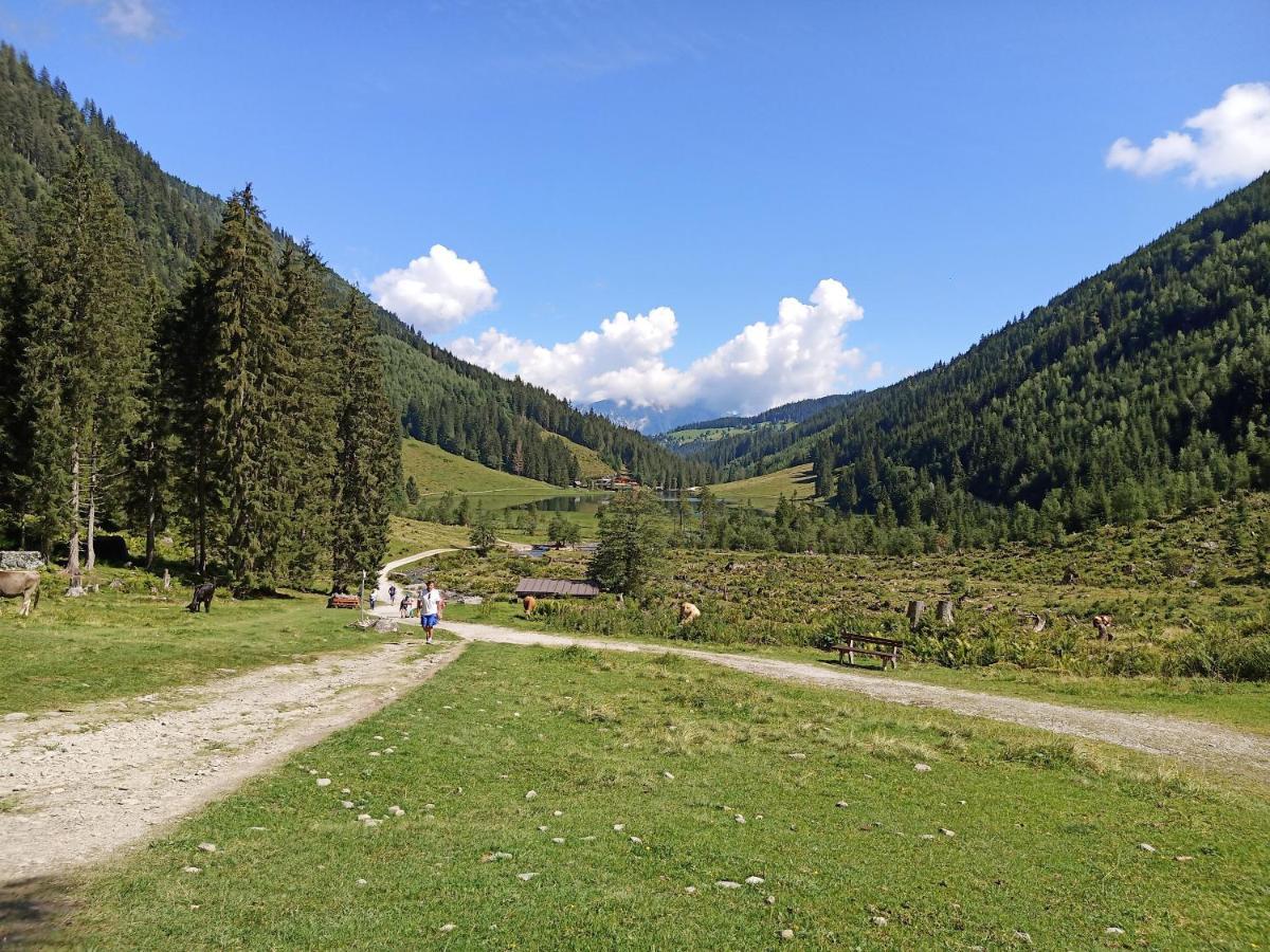Ferienwohnungen Reinbacher - Primps Schladming Exterior photo